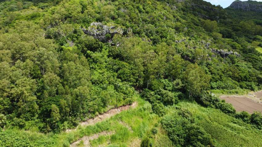 For Sale - Agricultural Land 4220.87 m2 - Creve Coeur - 5 - Land  on Aster Vender