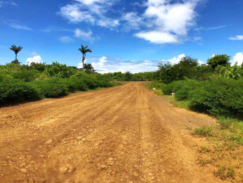 For Sale - Agricultural Land 5,408 m2 - St Antoine - Mauritius - 6 - Land  on Aster Vender