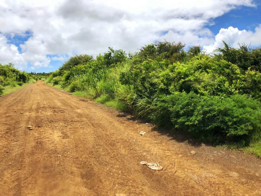 For Sale - Agricultural Land 5,408 m2 - St Antoine - Mauritius - 7 - Land  on Aster Vender