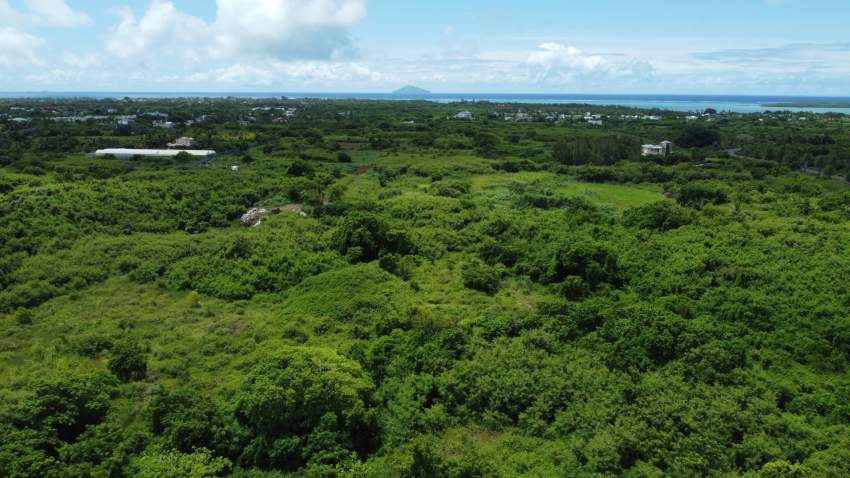 For Sale - Agricultural Land 5,408 m2 - St Antoine - Mauritius - 5 - Land  on Aster Vender