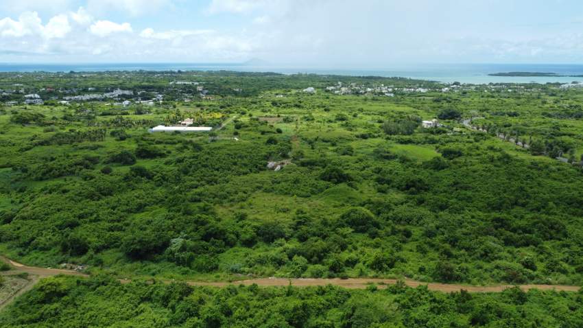 For Sale - Agricultural Land 5,408 m2 - St Antoine - Mauritius