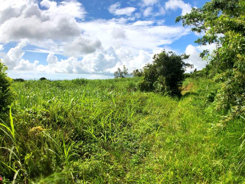 For Sale – Agricultural Land 3020 m2 – Lallmatie - 3  on Aster Vender