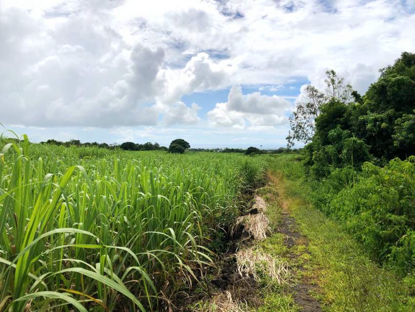 For Sale – Agricultural Land 3020 m2 – Lallmatie - 6  on Aster Vender