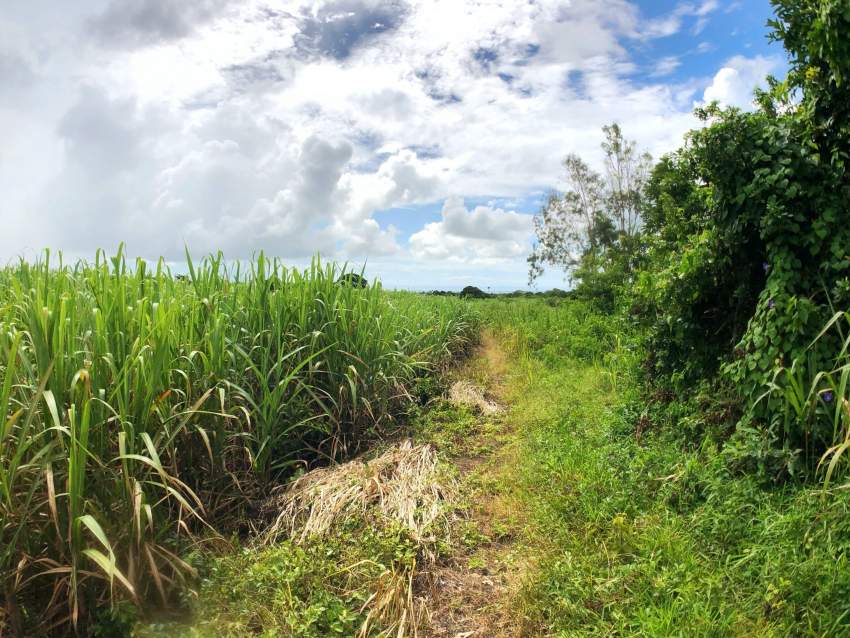 For Sale – Agricultural Land 3020 m2 – Lallmatie - 7  on Aster Vender