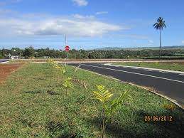 Urgent Sale of Land - Souillac - Domaine De Terracine - 1 - Land  on Aster Vender