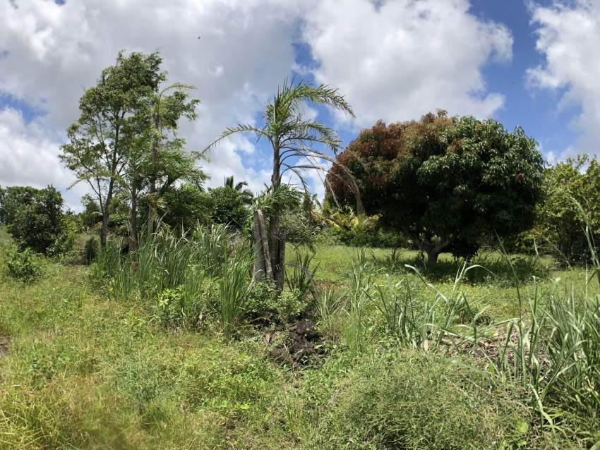 For Sale - Agricultural Land - 2107 m2 - Pont Bon Dieu  - 4 - Land  on Aster Vender