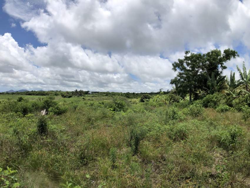 For Sale - Agricultural Land - 2107 m2 - Pont Bon Dieu  - 3 - Land  on Aster Vender