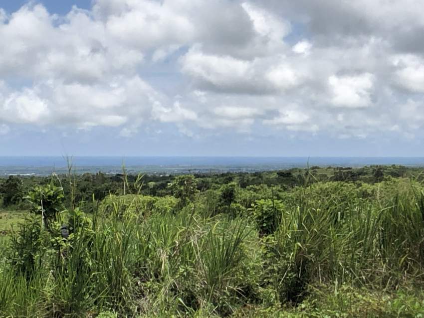 For Sale - Agricultural Land - 2107 m2 - Pont Bon Dieu  - 1 - Land  on Aster Vender