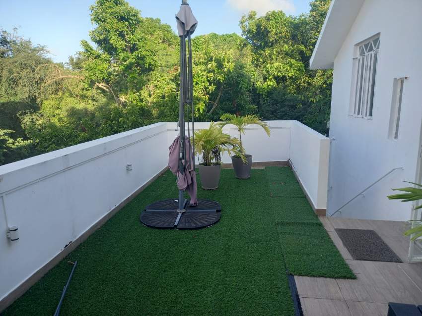 APPARTEMENT À LOUER - P.CANNONIERS - 3 - Apartments  on Aster Vender