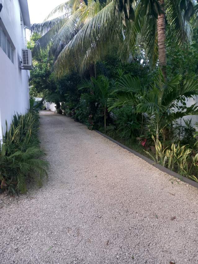 APPARTEMENT À LOUER - P.CANNONIERS - 1 - Apartments  on Aster Vender