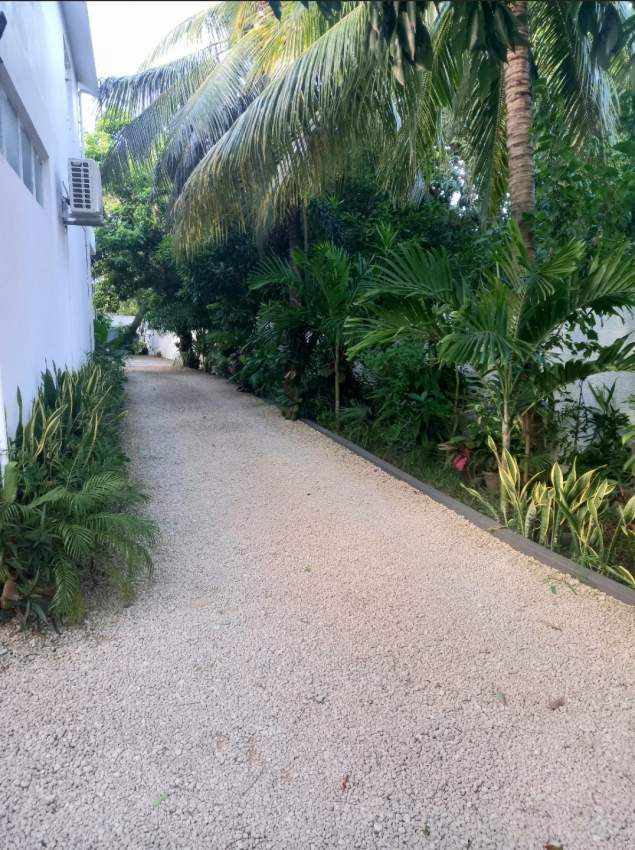 APPARTEMENT À LOUER - P.CANNONIERS - 7 - Apartments  on Aster Vender