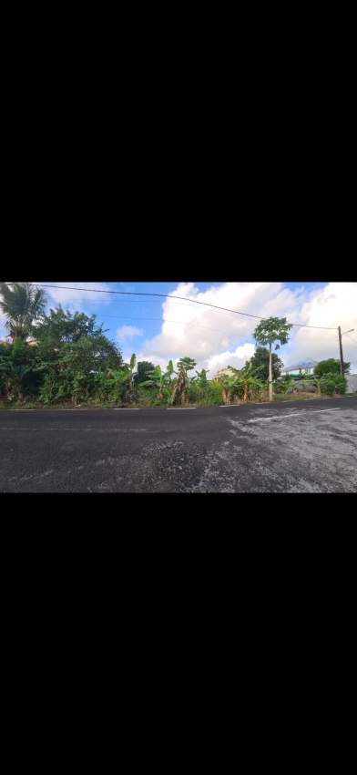 Land For Sale in Flacq - 1 - Land  on Aster Vender