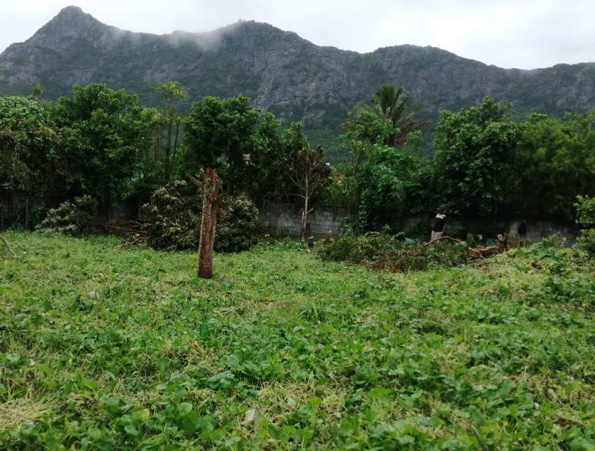 Residential Land for sale in Moka - 3 - Land  on Aster Vender