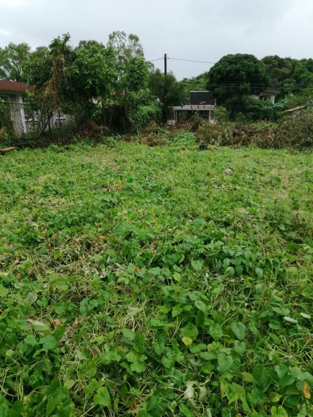 Residential Land for sale in Moka - 0 - Land  on Aster Vender