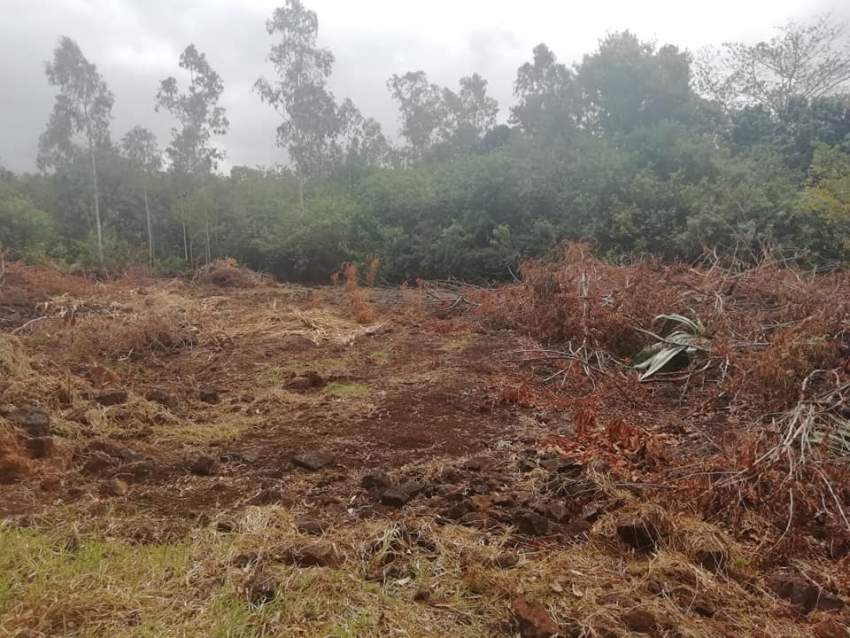  18 perches residential land are for sale in Plaine des Roches - 2 - Land  on Aster Vender