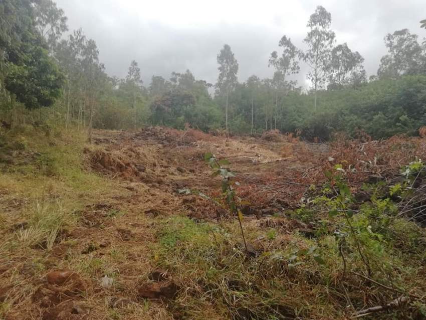  18 perches residential land are for sale in Plaine des Roches - 0 - Land  on Aster Vender