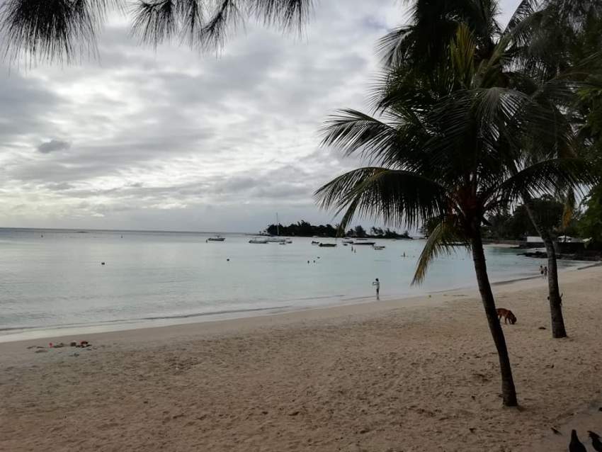  penthouse is for sale in Pereybere @ Rs 5,600,000 negotiable.  - 8 - Apartments  on Aster Vender