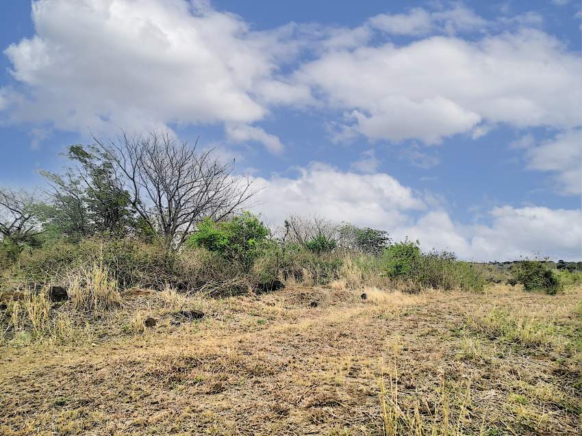 (Ref : MA7-331) Terrain agricole de 8192.50 m² - 1 - Land  on Aster Vender