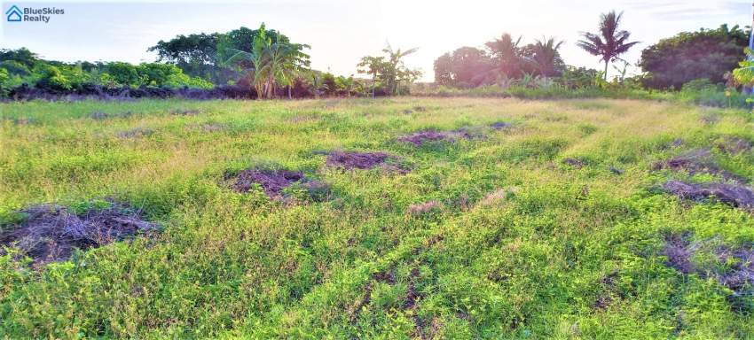 183.19 toises for sale in Roche Terre - 0 - Land  on Aster Vender