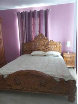 Magnificent House - 3 - House  on Aster Vender