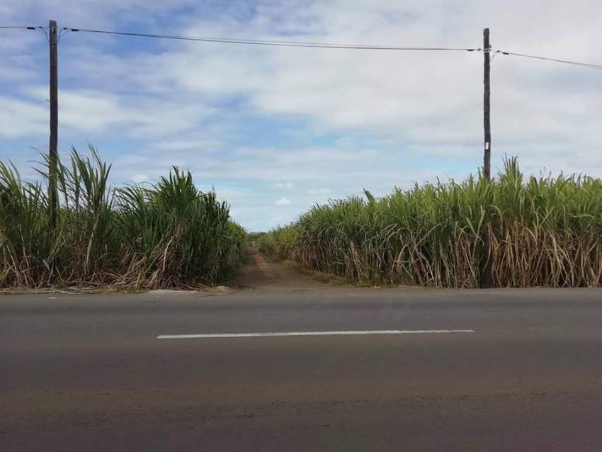 agricultural land is for sale at Laventure @ Rs4,300,000 negotiable. on Aster Vender