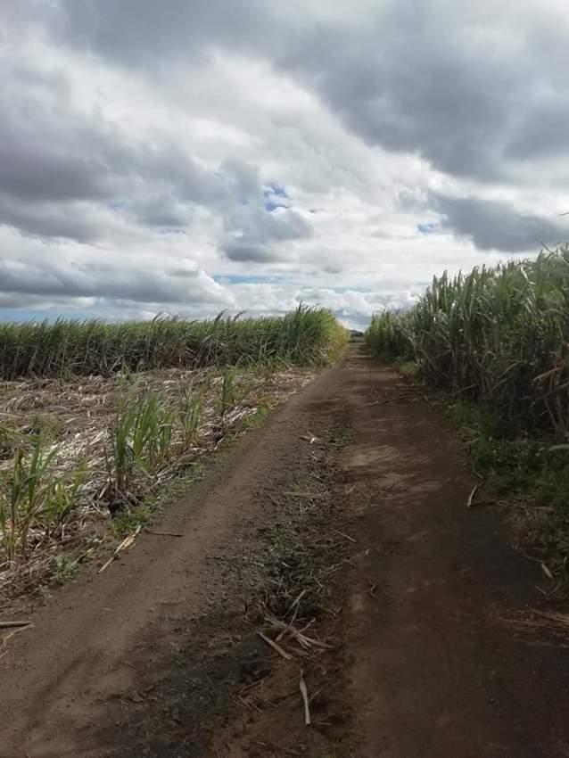 agricultural land is for sale at Laventure @ Rs4,300,000 negotiable.  - 1 - Land  on Aster Vender