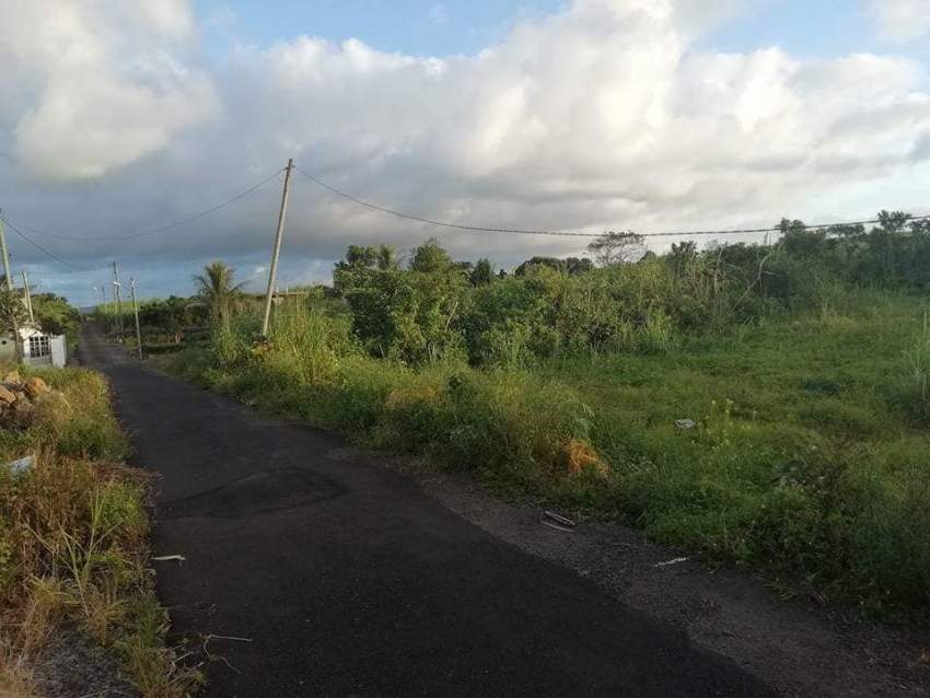 45 perches land in St Julien D'Hotman @ Rs 85,000/perche slightly nego - 4 - Land  on Aster Vender