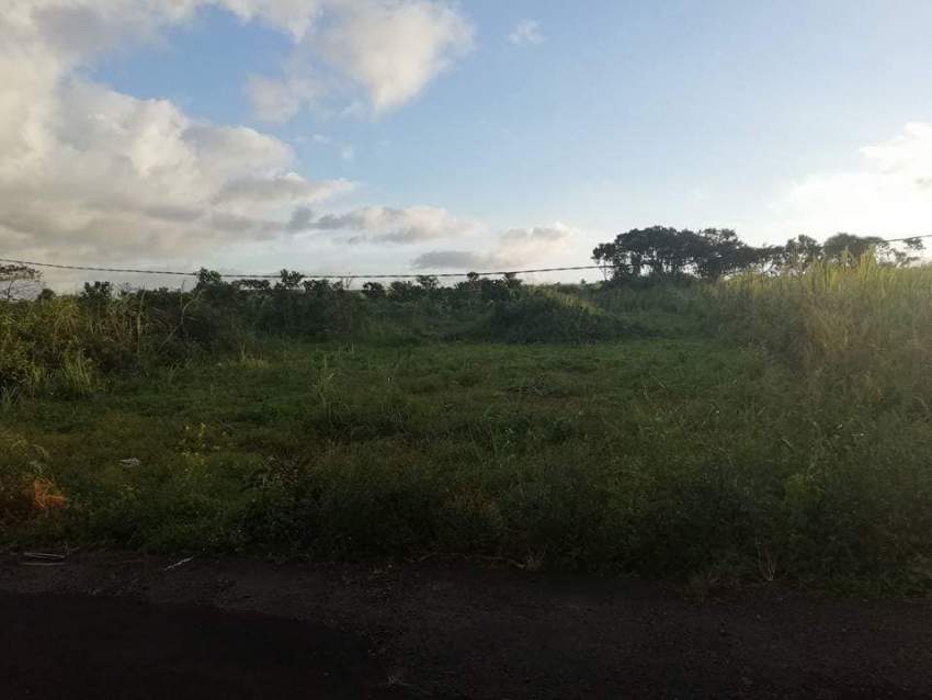 45 perches land in St Julien D'Hotman @ Rs 85,000/perche slightly nego on Aster Vender