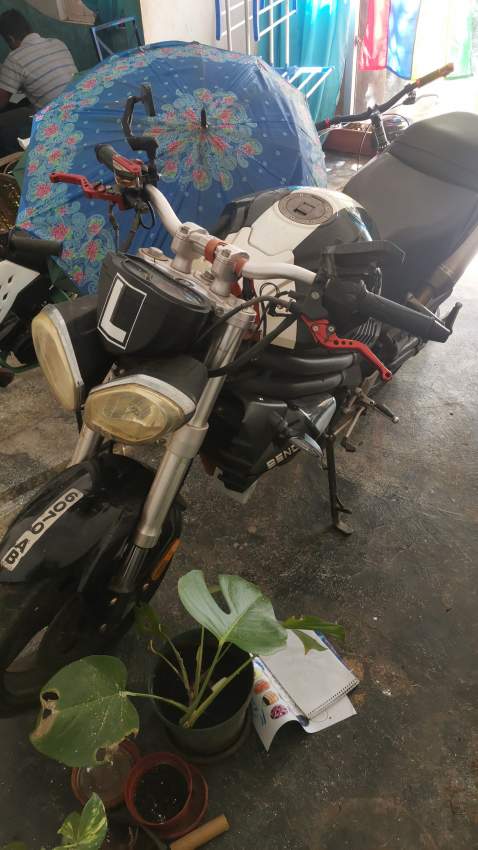 BENDA Firestrike 250 - 0 - Roadsters  on Aster Vender