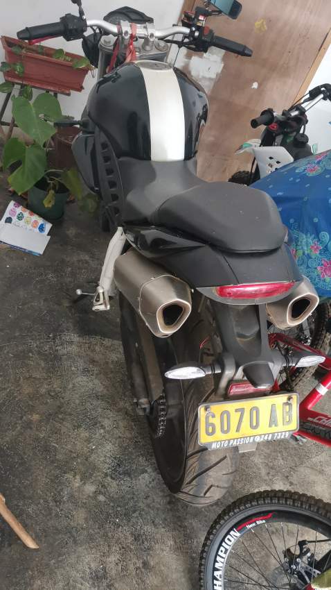 BENDA Firestrike 250 - 1 - Roadsters  on Aster Vender