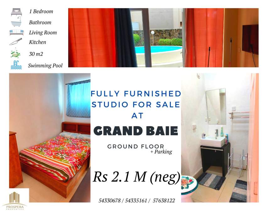 FULLY FURNISHED  STUDIO FOR SALE   - Apartments on Aster Vender