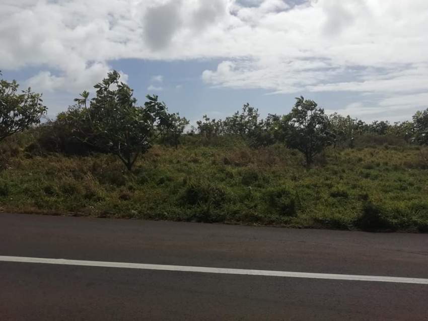 1 arpent 36.55 perches land in Royal Rd, Sottise @ Rs 220,000/perche  - 4 - Land  on Aster Vender
