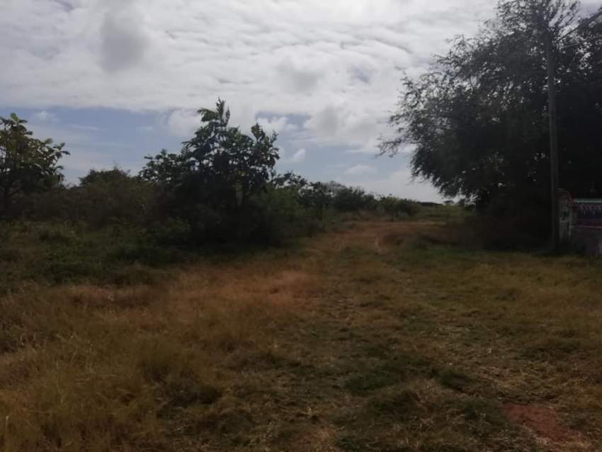 1 arpent 36.55 perches land in Royal Rd, Sottise @ Rs 220,000/perche  - 2 - Land  on Aster Vender