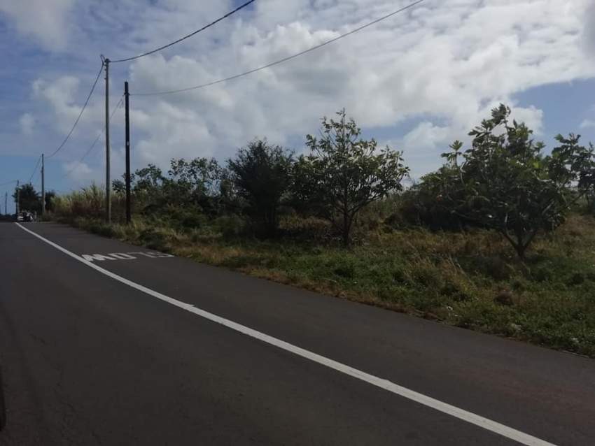 1 arpent 36.55 perches land in Royal Rd, Sottise @ Rs 220,000/perche  - 5 - Land  on Aster Vender