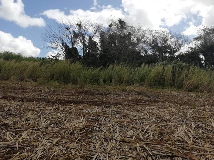 25 perches residential land at Jankee Road, Gokoola at Rs 85,000 /perc on Aster Vender