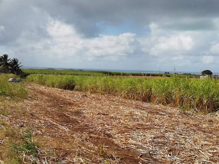 25 perches residential land at Jankee Road, Gokoola at Rs 85,000 /perc - 3 - Land  on Aster Vender