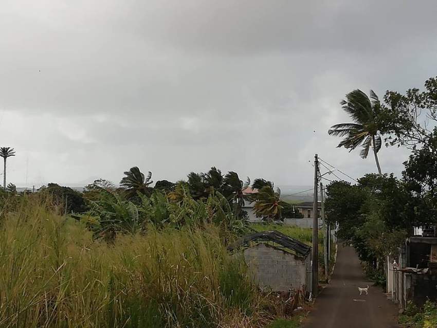 25 perches residential land at Jankee Road, Gokoola at Rs 85,000 /perc - 2 - Land  on Aster Vender