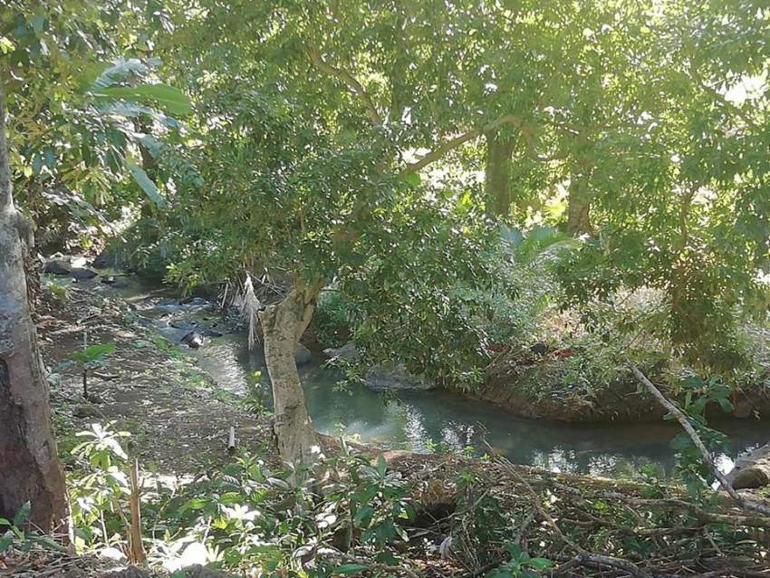 peaceful  land at Royal Road, Congomah @ Rs 35,000/perche negotiable. - 3 - Land  on Aster Vender