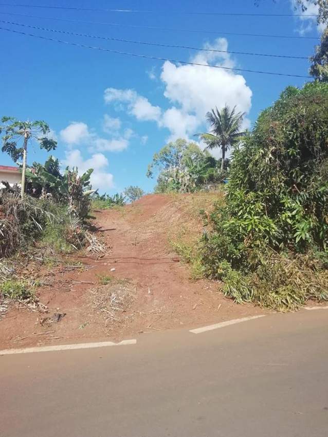 peaceful  land at Royal Road, Congomah @ Rs 35,000/perche negotiable. - 5 - Land  on Aster Vender