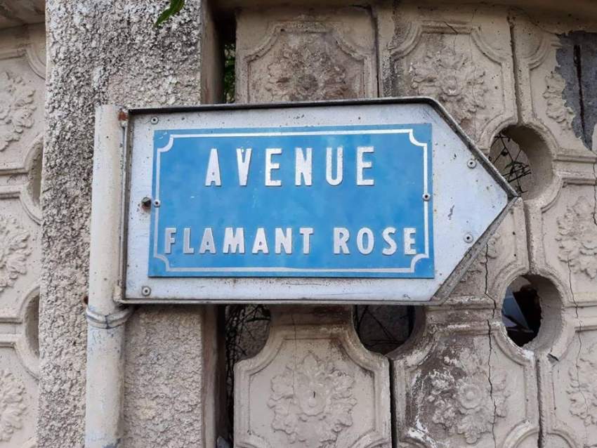 9 perches  land  at  Morc St Antoine, Goodlands @ Rs 1,250,000 nego - 5 - Land  on Aster Vender