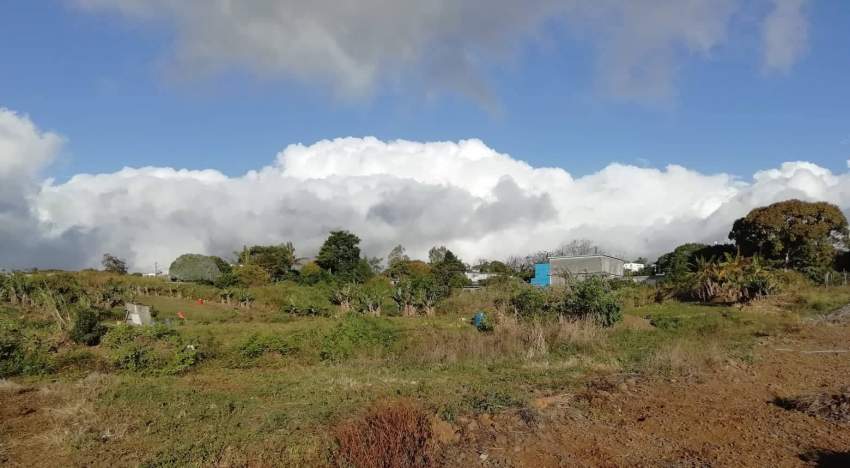 1 arpent 50 perches agricultural land is for sale in Hollywood Vacoas - 2 - Land  on Aster Vender