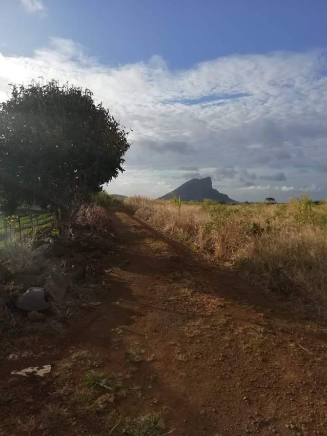 1 arpent 50 perches agricultural land is for sale in Hollywood Vacoas - 3 - Land  on Aster Vender