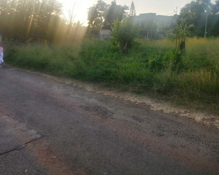 Sale of land - 2 - Land  on Aster Vender