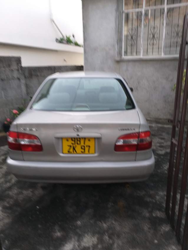 Family Car - 1 - Family Cars  on Aster Vender