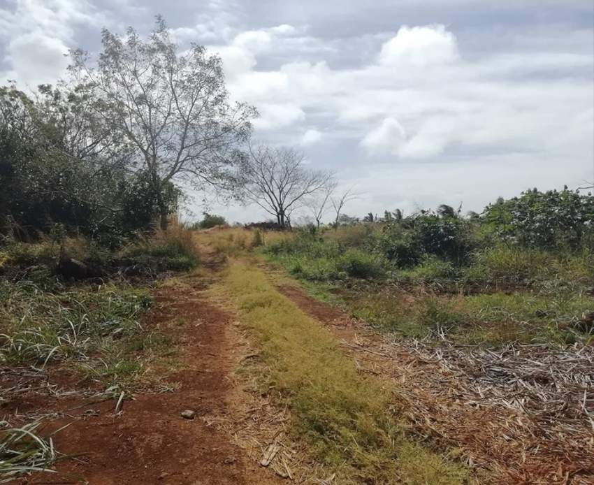 2 plot of 11 perches in The Vale, Sottise each @ Rs 1,550,000 negoti - 1 - Land  on Aster Vender