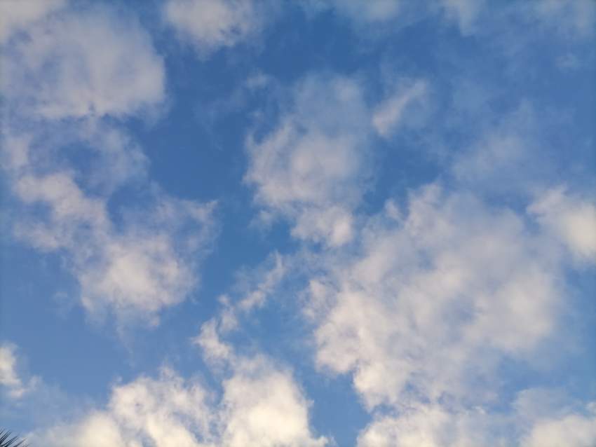 Toyota vitz 2010 - 0 - Family Cars  on Aster Vender