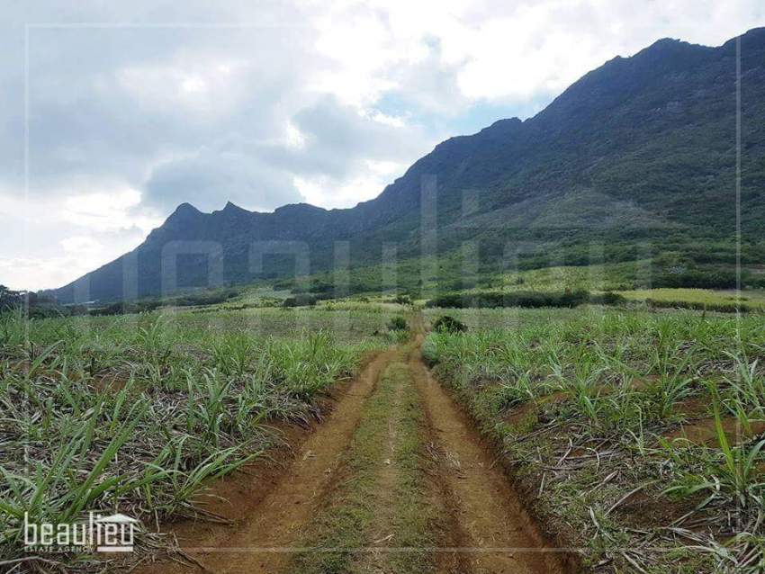 * 50 Perches,  Agricultural land, Petit Verger* - 5 - Land  on Aster Vender