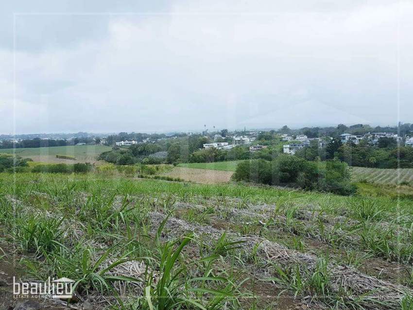 * 50 Perches,  Agricultural land, Petit Verger* - 4 - Land  on Aster Vender