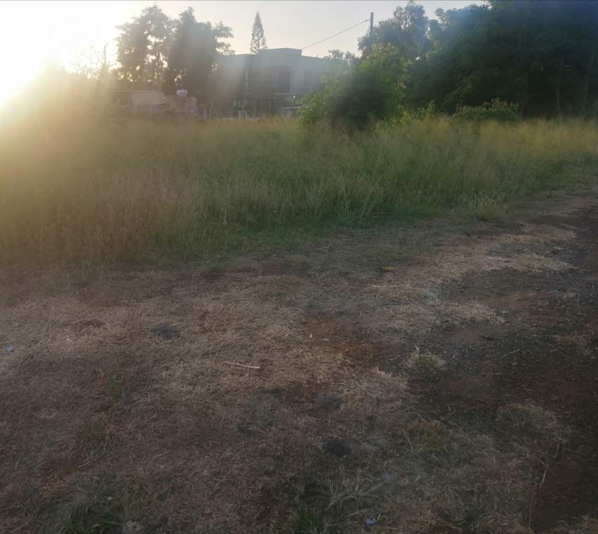 Terrain  - 1 - Land  on Aster Vender