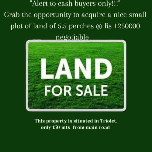 Residential land in Triolet - 0 - Land  on Aster Vender